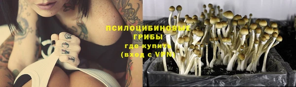 хмурый Куйбышев