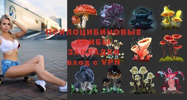 хмурый Куйбышев
