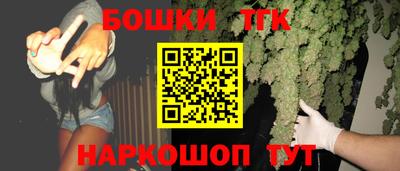 стафф Гатчина