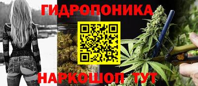 стафф Гатчина