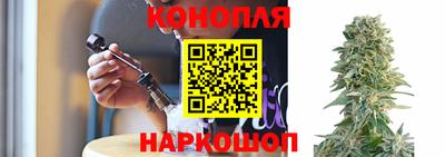PSILOCYBIN Канаш