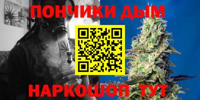 молекула духа Будённовск
