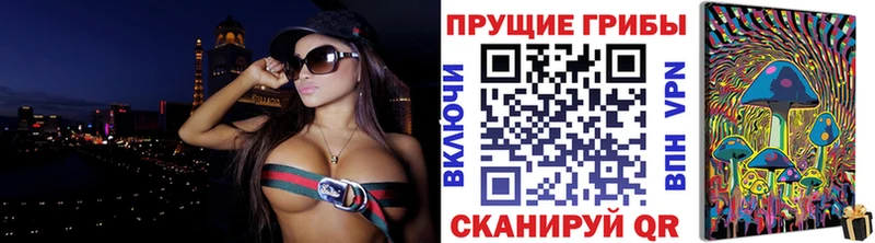 где можно купить   Еманжелинск  Галлюциногенные грибы Psilocybine cubensis 